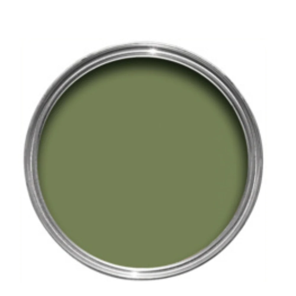 Farrow & Ball  Estate Emulsion  Sap Green 199 - Image 3