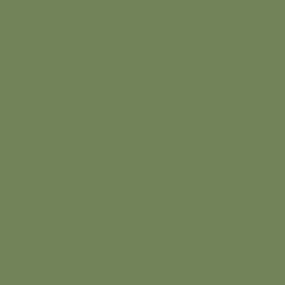 Farrow & Ball  Estate Emulsion  Sap Green 199 - Image 4