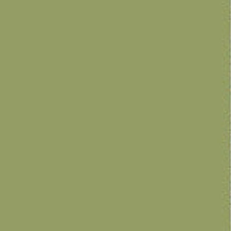Farrow & Ball  Modern Emulsion Archive  Olive 13