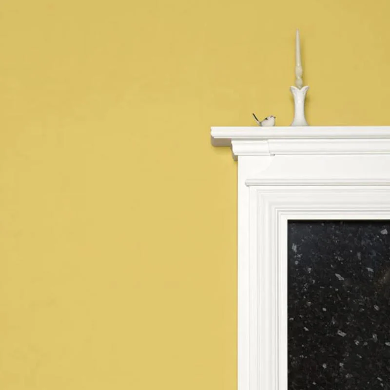 Farrow & Ball  Modern Emulsion  Yellow Ground 218 - Image 2